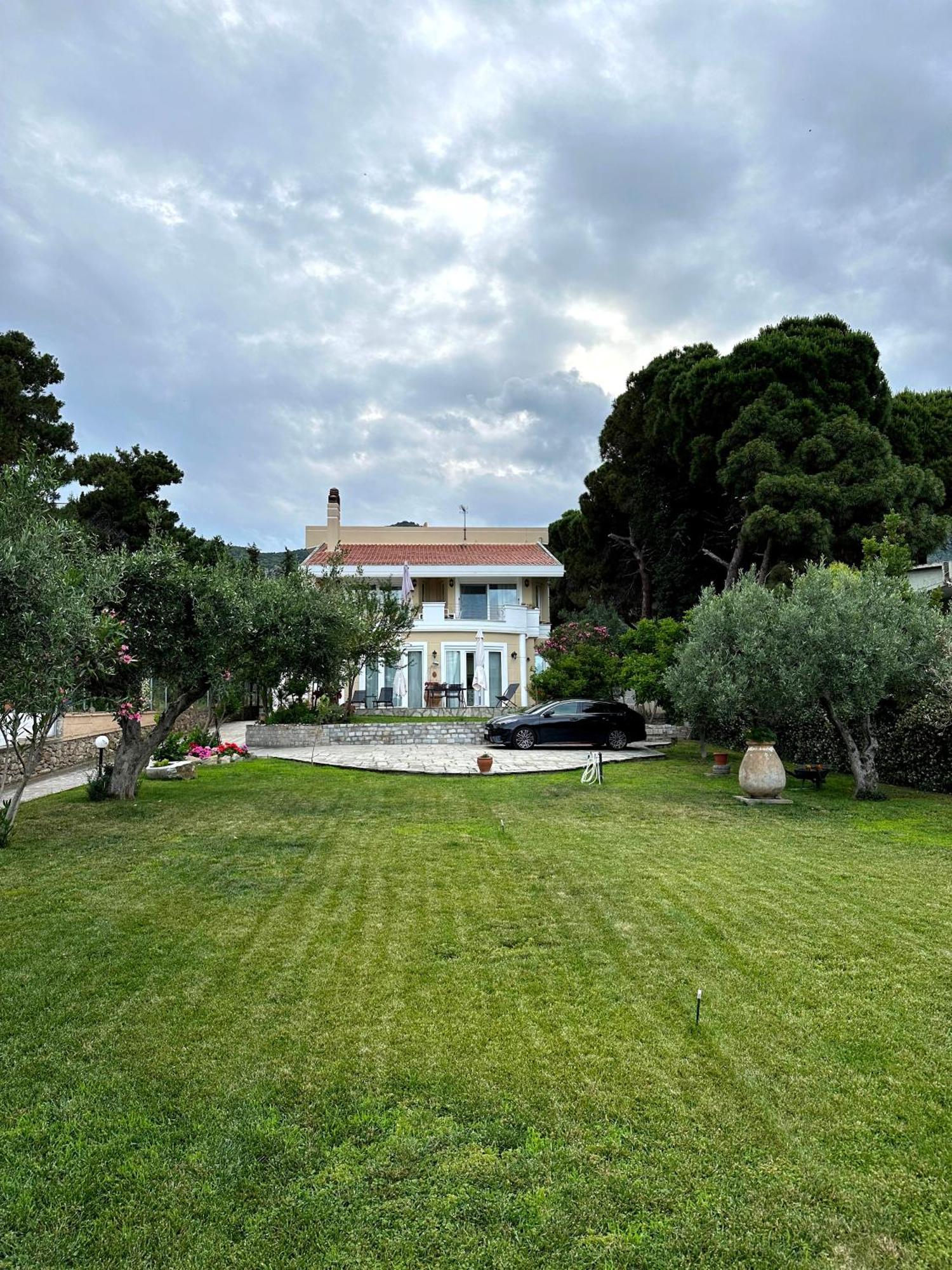 Villa Vasiliki PalaiónTsiflíkion Dış mekan fotoğraf